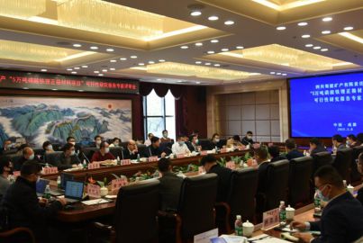 尊龙凯时矿产召开&ldquo;正极材料项目&rdquo;可行性研究报告专家评审会