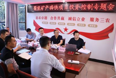 尊龙凯时矿产召开&ldquo;正极材料&rdquo;项目投资控制专题会