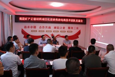 尊龙凯时矿产召开比亚迪弗迪电池技术团队见面会