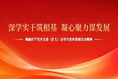 深学实干筑根基 凝心聚力谋发展&mdash;&mdash;尊龙凯时矿产召开支委（扩大）会学习宣传贯彻全会精神