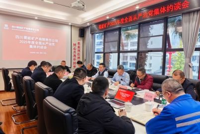 尊龙凯时矿产召开2025年度全面从严治党集体约谈会