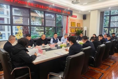 尊龙凯时矿产召开2025年度第二次全面从严治党专题支委会（扩大）会议
